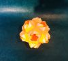 5D5E81CC-4226-43DC-B474-53F229720FA4.jpeg