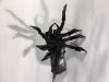 Nom du fichier=B5F1DF54-DB83-4213-A994-509985C90F1A.jpeg
Taille du fichier=621Ko
Dimensions : 2016x1512
Ajouté le : 29 Octobre 2018 B5F1DF54-DB83-4213-A994-509985C90F1A.jpeg