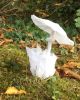 Nom du fichier=C2A46667-B2A3-445F-A829-C48238D8389A.jpeg
Taille du fichier=1081Ko
Dimensions : 1396x1739
Ajouté le : 15 Octobre 2017 C2A46667-B2A3-445F-A829-C48238D8389A.jpeg