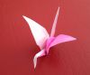 D29A348C-F075-4B91-A9D3-B21DBCE82090.jpeg