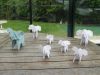 DSCN5214.JPG