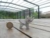 DSCN5220.JPG