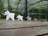 DSCN5223.JPG