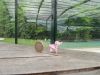 DSCN5225.JPG