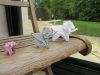 DSCN5227.JPG
