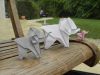 DSCN5228.JPG