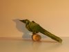 oiseau2.jpg