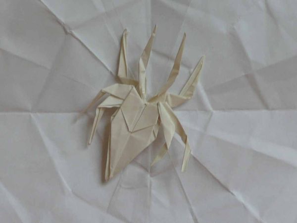 araignée sur sa toile de mon invention a partir d'un modèle de grenouille
