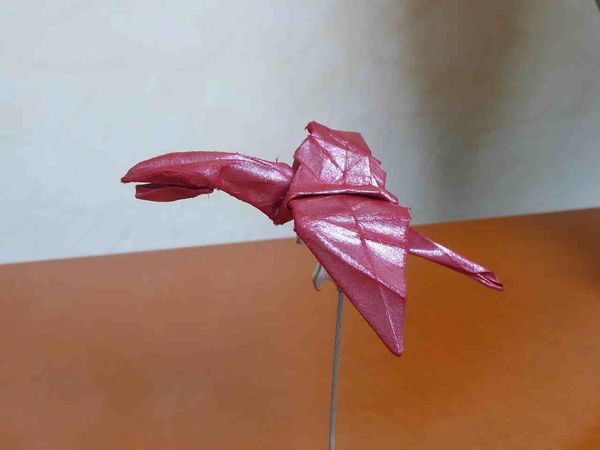 dragon rouge
