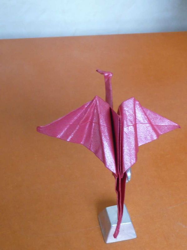 oiseau rouge
