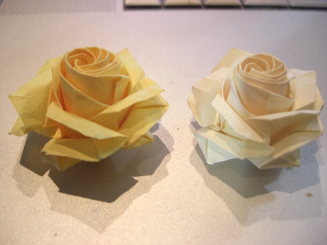 deux roses
j'ai plié les pétales extérieurs de sorte qu'ils soient bien pointus. et ça parait mieux !
