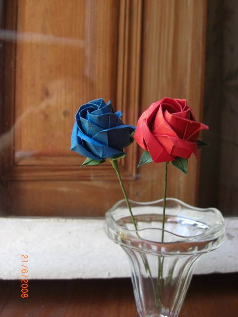 deux roses épanouies
il y a une légère différence entre les deux...
Mots-clés: rose kawasaki fivefold 5