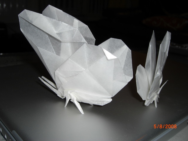 papillons
j'ai enfin réussi à ajouter les pattes et les antennes à mon papillon. sachez bien qu'il existe aussi des papillons aux quatre pattes...
Mots-clés: pipillon butterfly