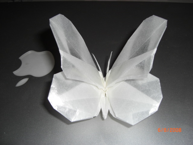 papillon
je suis enfin arrivé à faire le papillon de mon rêve depuis mon enfance où j'ai créé ce modele pour la première fois ! j'avais à peine 15 ans ! et maintenant j'ai... Merci pour le papier chrystal !!!
Mots-clés: papillon butterfly