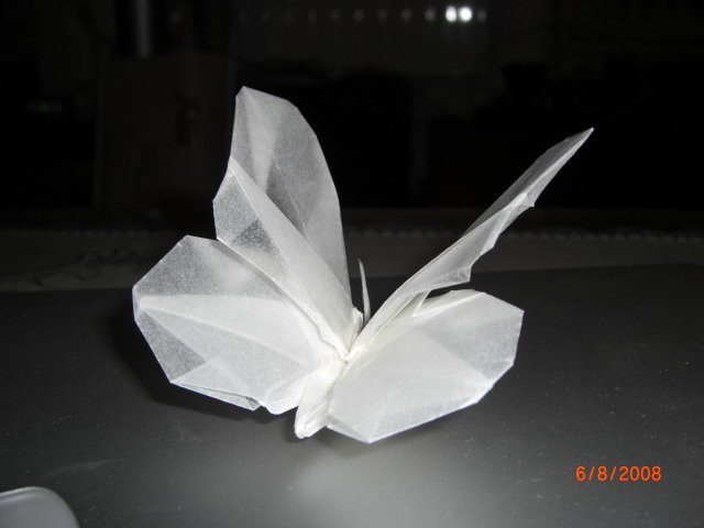 papillon en pause
Mots-clés: papillon butterfly