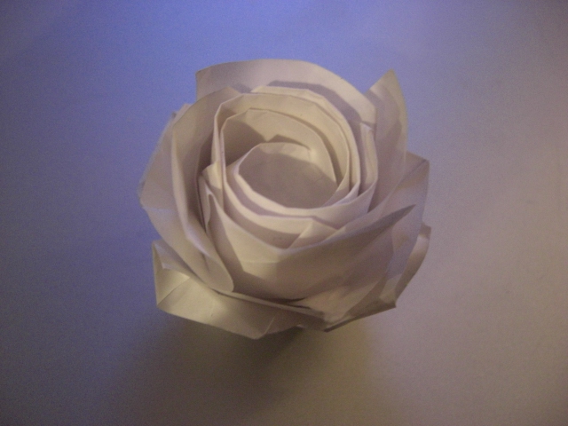 nouvelle rose carrée 3
une autre photo !
