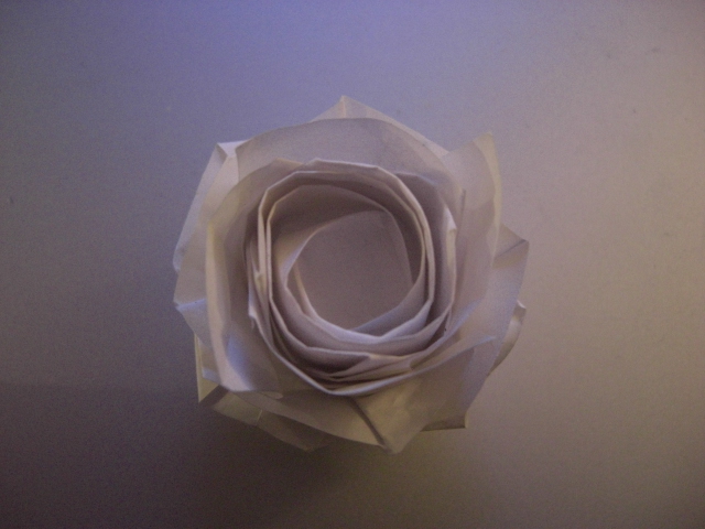 nouvelle rose carrée 2
vu d'en haut
