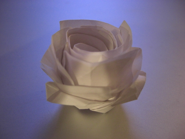 nouvelle rose carrée 1
j'ai réappliqué au format carré le procédé que j'ai développé en adaptant la rose de Kawasaki au format pentagonal. j'ai cru que c'était pas possible, mais voyons voir, le résultat, c'est pas mal !
