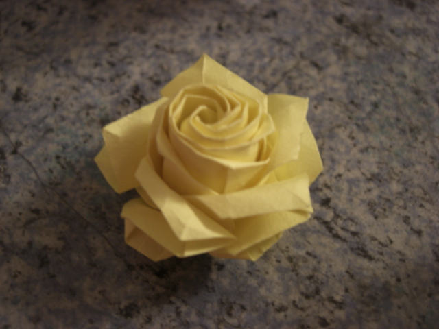rose jaune
voila une autre photo
