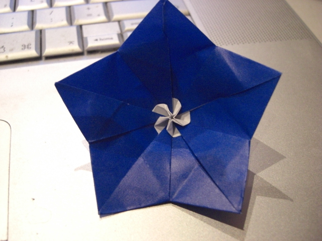 campanule 2
