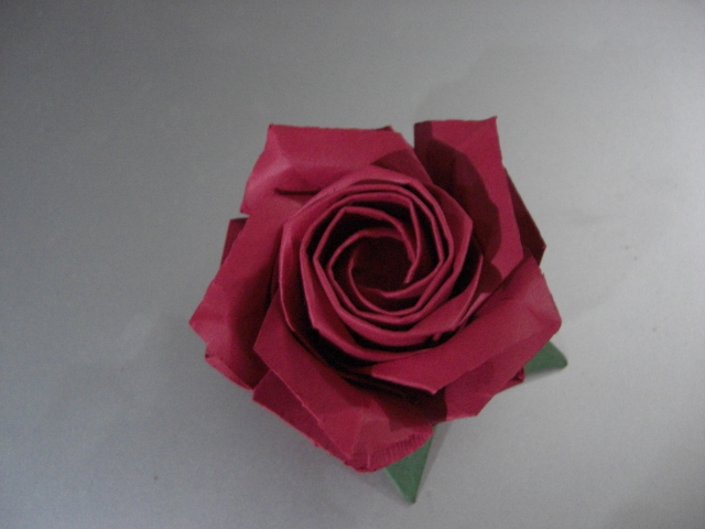 rose vue d'en haut
