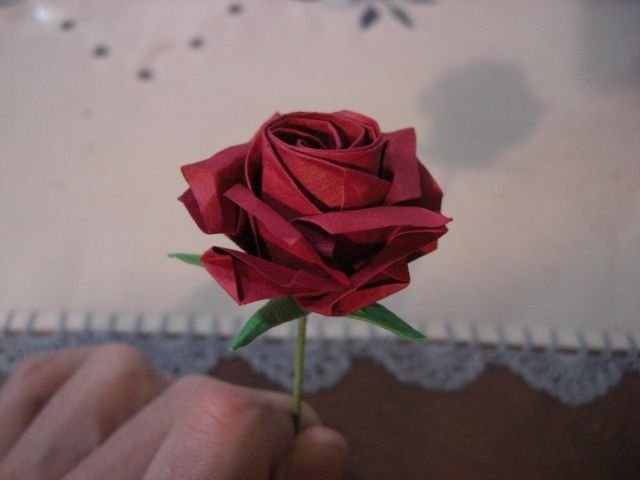 rose avec un calice fin
j'ai trafiqué le nouveau calice pour que les feuilles soient plus fins et pointus
