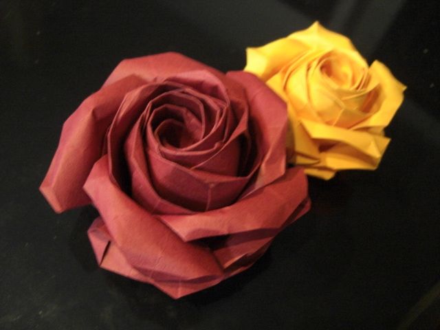 rose avec double pli intérieur inversé
