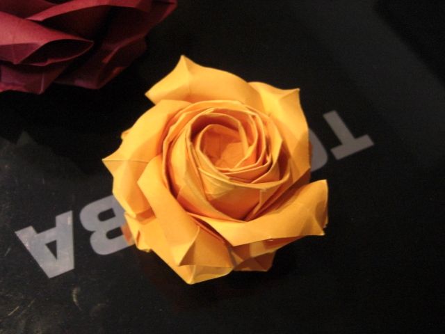 rose avec double pli intérieur inversé
