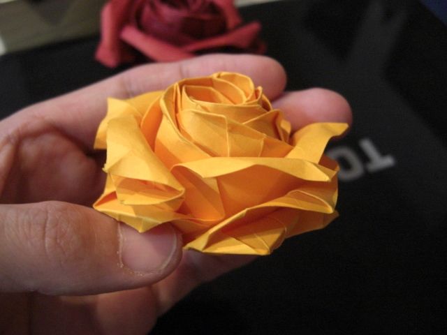 rose avec double pli intérieur inversé

