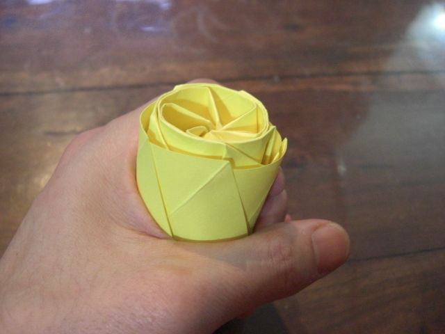 CIMG3302~0.JPG