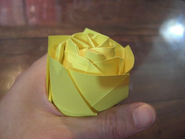 CIMG3308~0.JPG