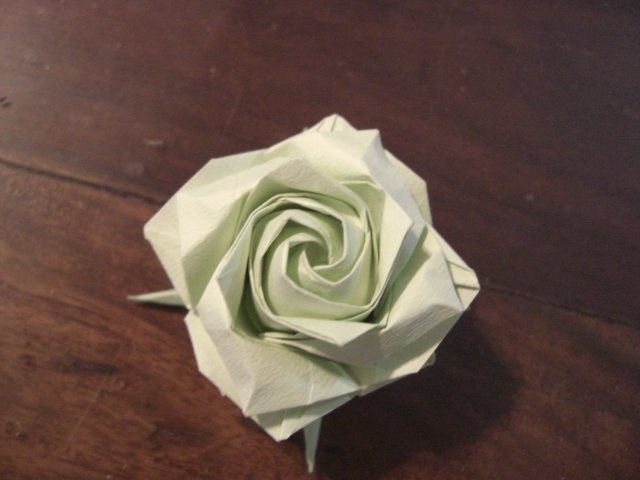 nouvelle rose carrée
