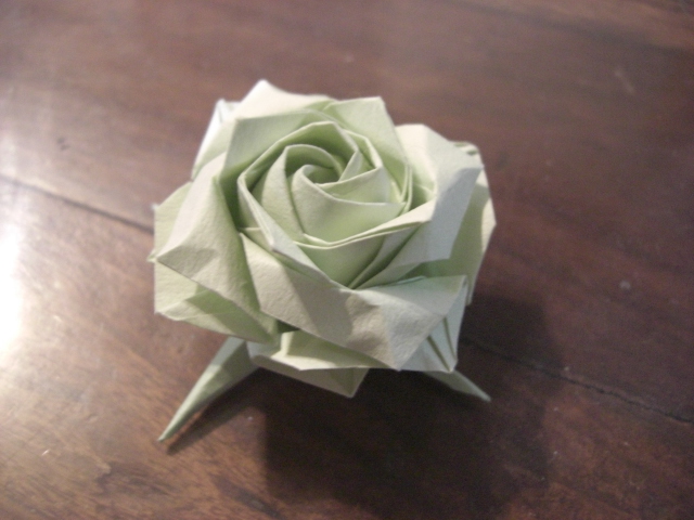 nouvelle rose carrée
