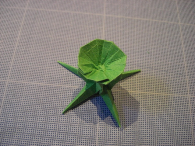 CIMG5554.JPG