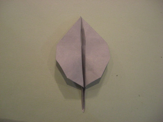 CIMG5844.JPG