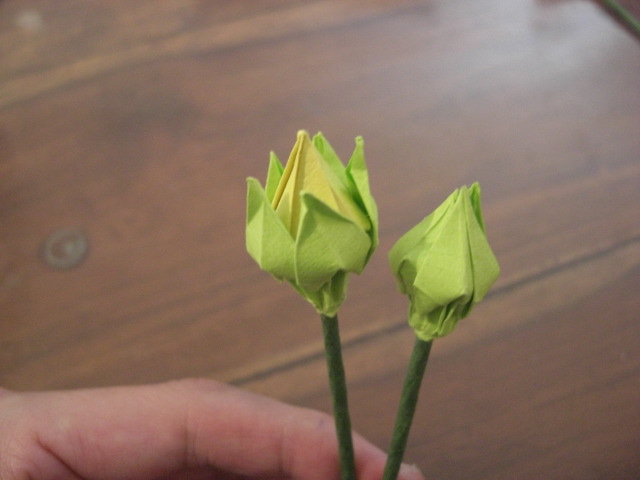 CIMG5897.JPG