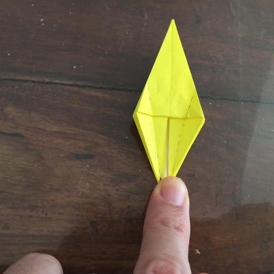 12936579_1157003524323470_3391934484202455177_n.jpg