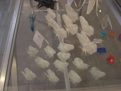 la colonie de papillons
c'est ma vitrine
