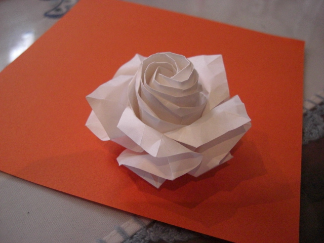 rose blanche
a partir du papier blanc d'origami normal 24x24
