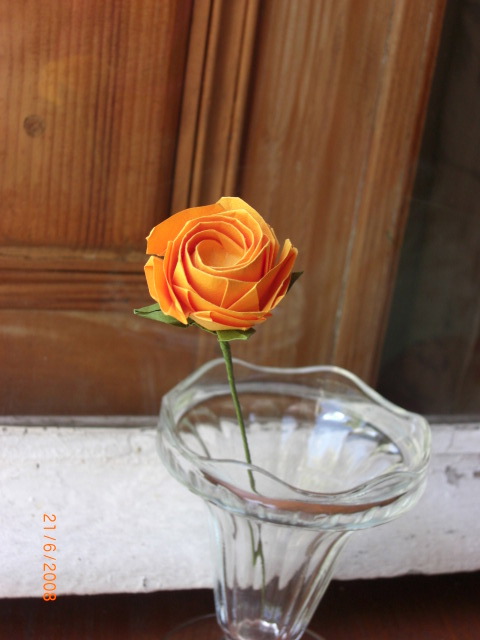 rose multipétale
Mots-clés: rose kawasak fivefold 5