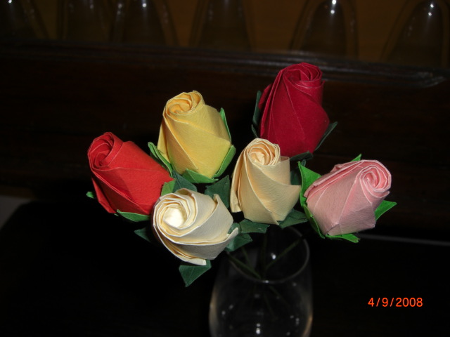 rose en bouton
encore une autre variété !
Mots-clés: rose kawasaki fivefold