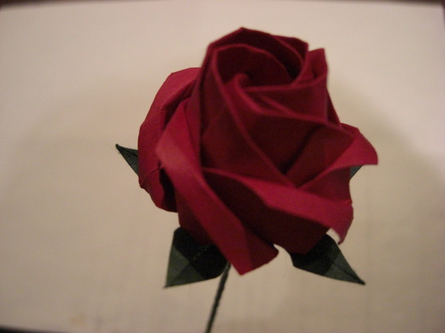 rose épanouie
en voici une autre variante...
Mots-clés: rose kawasaki fivefold 5 petale