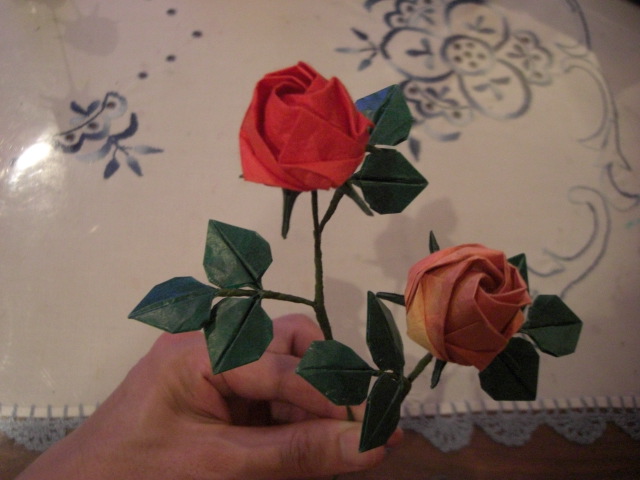 roses de kawasaki à 5 pétales avec les feuilles
il leur manque que des épines...
Mots-clés: rose kawasaki fivefold 5 petale