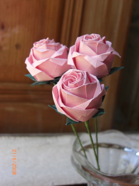 roses roses
c'est une rose composée de deux feuilles...
Mots-clés: rose kawasaki fivefold 5