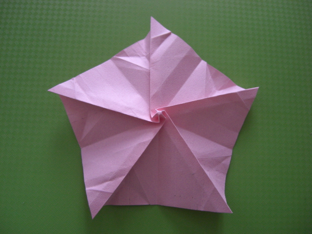étape 20
