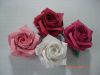 Nom du fichier=4_roses.JPG
Taille du fichier=213Ko
Dimensions : 640x480
Ajouté le : 28 Novembre 2009 4_roses.JPG
