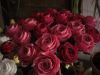 bouquet_roses_2.JPG