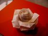 rose_blanche_2.JPG