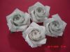 Nom du fichier=roses_blanches.JPG
Taille du fichier=209Ko
Dimensions : 640x480
Ajouté le : 28 Novembre 2009 roses_blanches.JPG