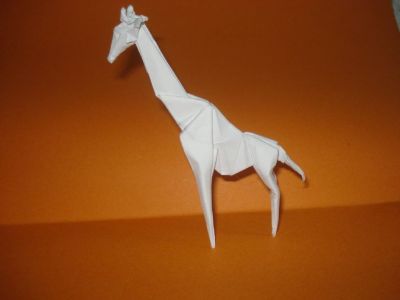 le girafe
author : Komatsu Hideo
